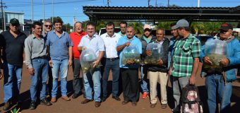 Entrega de 5000 alevines a 10 productores piscícolas del distrito