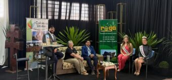 ¡𝐁𝐞𝐥𝐥𝐚 𝐕𝐢𝐬𝐭𝐚 𝐞 𝐈𝐭𝐚𝐩ú𝐚, 𝐬𝐞 𝐬𝐢𝐠𝐮𝐞𝐧 𝐩𝐨𝐬𝐢𝐜𝐢𝐨𝐧𝐚𝐧𝐝𝐨 𝐜𝐨𝐦𝐨 𝐫𝐞𝐟𝐞𝐫𝐞𝐧𝐭𝐞𝐬 𝐭𝐮𝐫í𝐬𝐭𝐢𝐜𝐨𝐬!