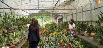 𝐍𝐮𝐞𝐯𝐨𝐬 𝐚𝐭𝐫𝐚𝐜𝐭𝐢𝐯𝐨𝐬 𝐪𝐮𝐞 𝐡𝐚𝐜𝐞𝐧 𝐝𝐞 𝐁𝐞𝐥𝐥𝐚 𝐕𝐢𝐬𝐭𝐚 𝐮𝐧 𝐝𝐞𝐬𝐭𝐢𝐧𝐨 𝐜𝐚𝐝𝐚 𝐯𝐞𝐳 𝐦á𝐬 𝐜𝐨𝐦𝐩𝐥𝐞𝐭𝐨. ¡𝐀𝐯𝐚𝐧𝐳𝐚𝐦𝐨𝐬 𝐣𝐮𝐧𝐭𝐨𝐬 𝐜𝐨𝐧 𝐒𝐄𝐍𝐀𝐓𝐔𝐑 𝐈𝐭𝐚𝐩ú𝐚!